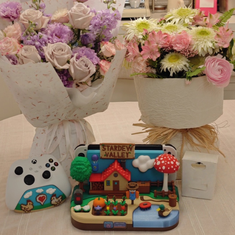 Switch Dock Stardew Valley Far - Gaming Console In ulasan dan harga